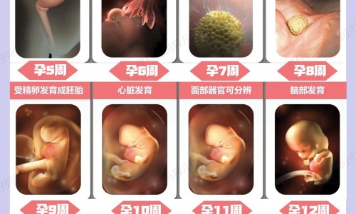 怀孕7个月一睡觉就出汗还特别累-孕妇7个月活动出汗怎么回事-专业怀孕7个月晚上睡觉出虚汗平台-孕7个月一直动的厉害